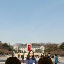 보물단지 이미지