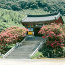 표충사주차장 이미지