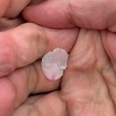 금암1동-05(롯데리아 앞) | [청주] 벚꽃 보러 1박2일 여행 (굽따/무심천/라토커피/미미호떡)