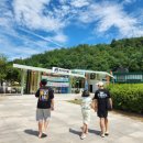 문경 오미자테마터널 | 문경여행 투어패스로 48시간 알차게 에코월드, 오미자테마터널 후기