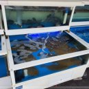 해안주유소 이미지