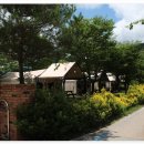 강변사리캠핑장 이미지