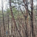 원주굽이길 원5코스 간현봉길 이미지