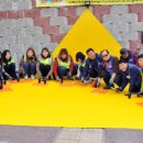 옐로카펫 이미지