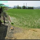 (구)풍천중학교 이미지