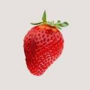 딸기짐 이미지