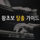성인 피아노 독학 실패하지 않는 전문가의 현실적인 꿀팁