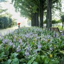 홀론공원 이미지