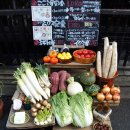 코코라야 이미지