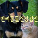 굿모닝 동물병원 이미지