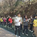 백세시대