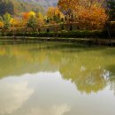 금광농원 이미지