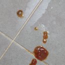 구지동물병원 이미지