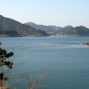 향일암로 이미지