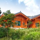 꽃지통나무펜션 이미지