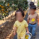 현이농장 이미지