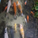 갈촌농장 이미지