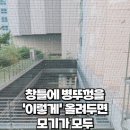 모기차단 꿀팁과 밧줄 사다리 이미지