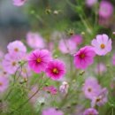 배방공업사 이미지