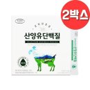 에버그린 이미지