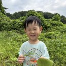 흡연예방교육 / 자연물 물고기 만들기 / 낚시놀이 / 바다를 지켜요 이미지