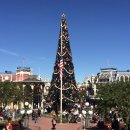 (주)팝콘소프트 | 전세계에 딱 하나만 있는 디즈니월드를 아시나요?저를 마이애미로 다시 보내주세요