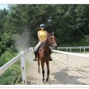 승마랜드 이미지