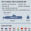 그냥 심심해서요. (11562) 軍, SLBM 개발 사실상 완료 이미지