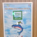 송암골평창송어