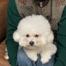 말랑말랑 이미지