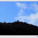 치산경로당 이미지