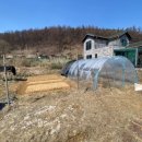 용문농장 이미지