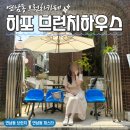 코카하우스 | 연남동 브런치카페 히포 브런치하우스 내돈내산 후기 아늑한 분위기
