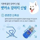 댕댕이 펫카 | 펫카소 강아지신발 곰돌이 방수양말 산책 필수템 맞죠?