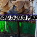 구개농장 네이버블로그