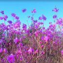 새서울한의원 이미지