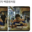 VIVID(비비드)
