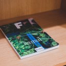 스테이 감도 이미지