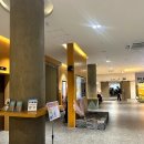 헤이트립 | 제주 서귀포 가성비 숙소 헤이 서귀포 호텔 디럭스 더블 오션뷰 내돈내산