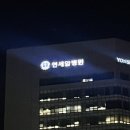 대보자원 | [일상] 마지막 블챌 / 여주 강천섬 / 강천페스티벌 / 자전거여행 후기