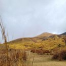 쌍봉대중탕 | 후쿠오카여행 #04 당일치기 패키지 다자이후 유후인 버스 투어, 여행한그릇