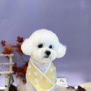 까까뿌숑 이미지