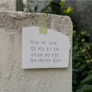 호돌이농장 | 일상 기록 :D