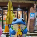 속초 브루스타 이미지