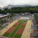 상가농장 이미지