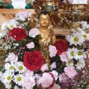 평화로운세상 이미지