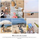 파스텔상점피크닉 | 강릉 여행코스 하평해변에서 피크닉❤ , 강릉 해변 피크닉 렌탈샵 파스텔상점 후기