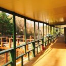 솔내음펜션 이미지