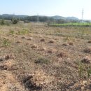 태광1농장 이미지