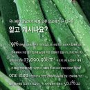 알로에스킨케어